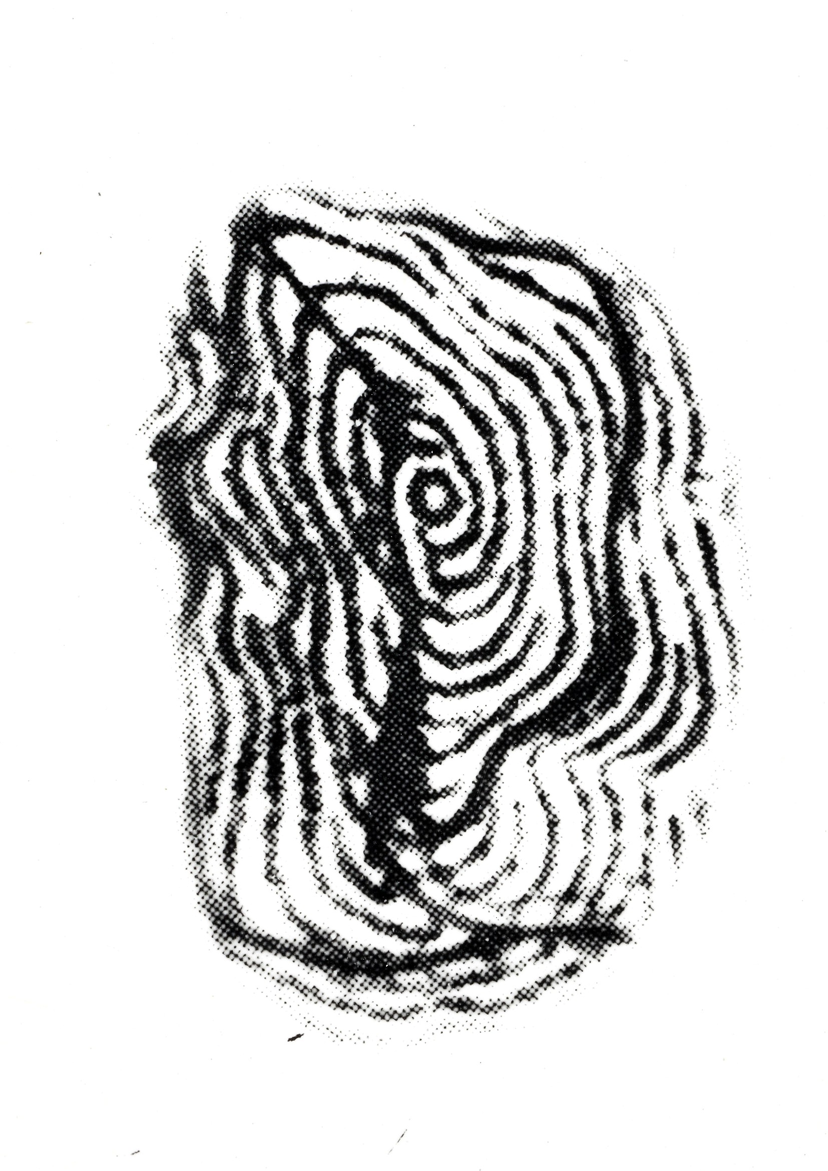 Photographic prints of palm fields in Malaysia, silver prints, 2019. detail