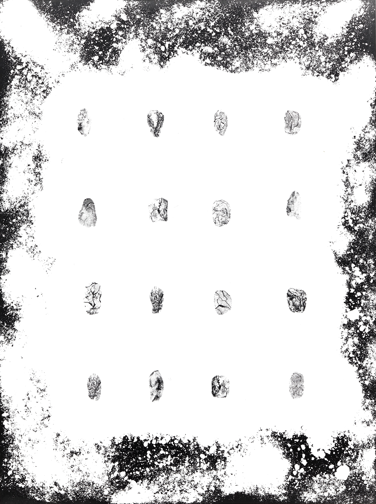 Photographic prints of palm fields in Malaysia, silver prints, 2019.